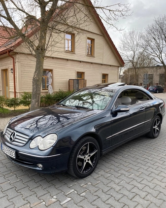 Mercedes-Benz CLK cena 22900 przebieg: 207000, rok produkcji 2002 z Białystok małe 121